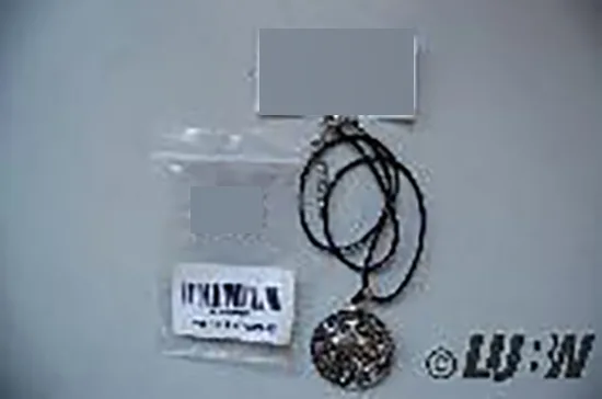Collana di collane «Wolf-Halskette für Männer» (PikaLF)