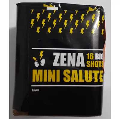 Fuochi d'artificio «ZENA MINI SALUTE» (ZENA Vuurwerk)